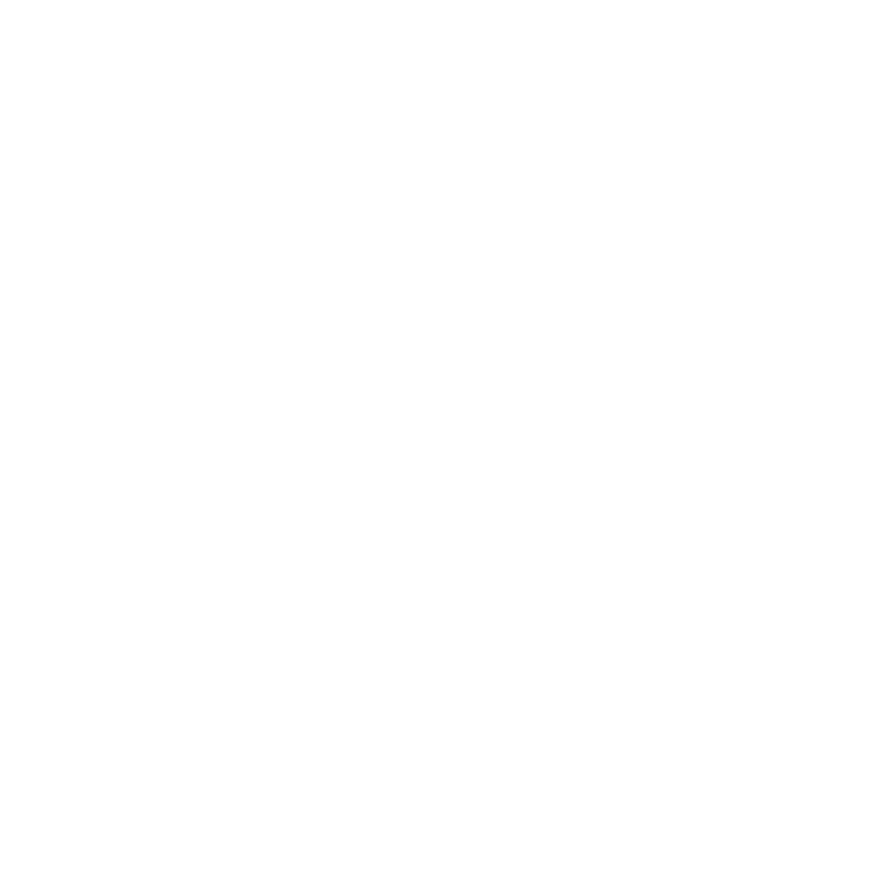 Logo von Austrian Surfing in weiß