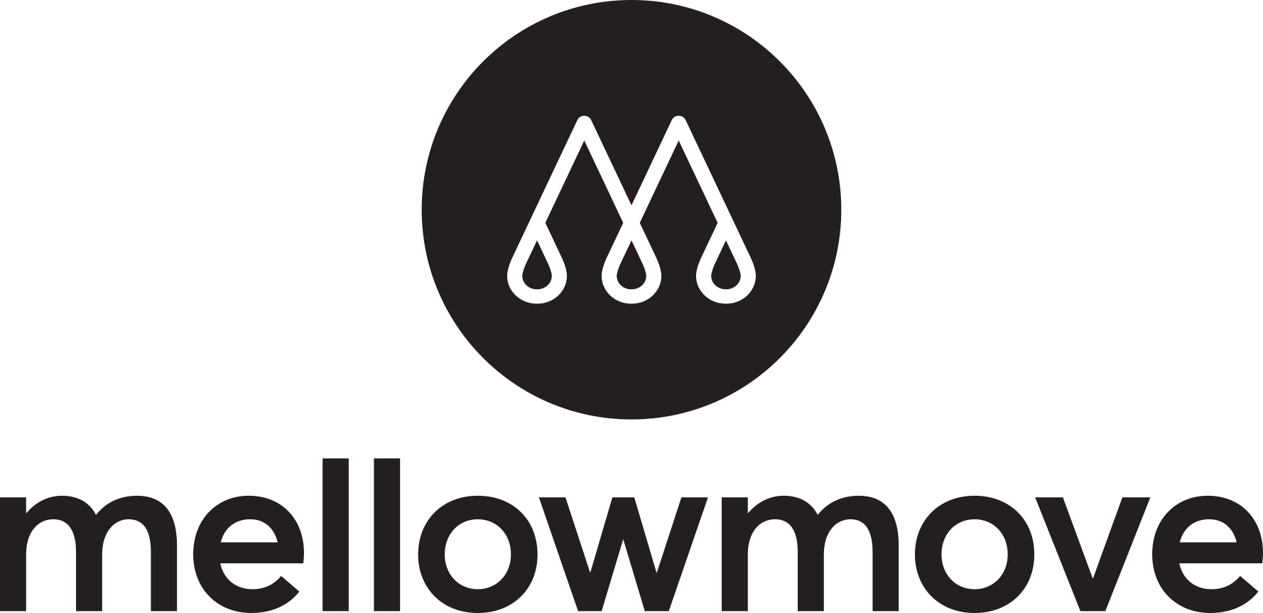 Logo von Mellowmove Surfcamp